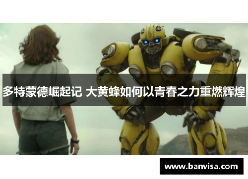 多特蒙德崛起记 大黄蜂如何以青春之力重燃辉煌