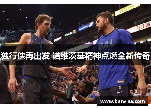 独行侠再出发 诺维茨基精神点燃全新传奇